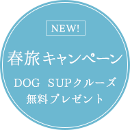 NEW！春旅キャンペーン DOG SUPクルーズ 無料プレゼント