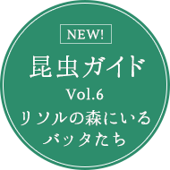 昆虫ガイド vol.6 リソルの森にいるバッタたち