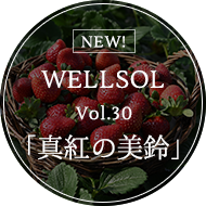 WELLSOL Vol.30 「真紅の美鈴」