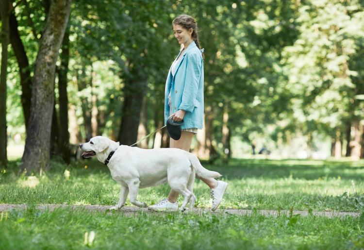 愛犬と木漏れ日の中を歩く「お散歩コース」