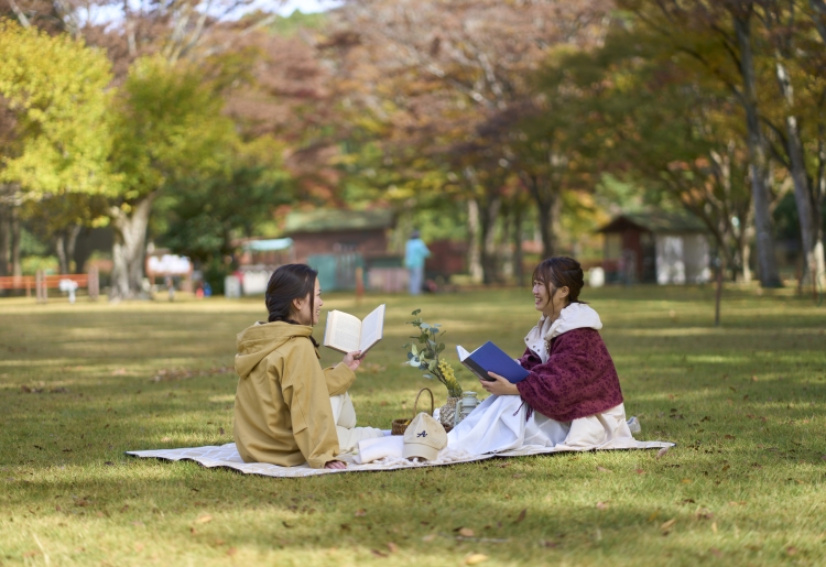 秋限定！9月〜11月開催の体験プログラム