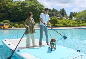 愛犬と心地よい風を感じる「SUPクルージング」