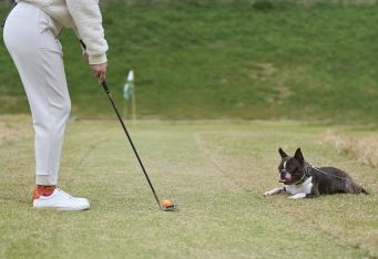 愛犬と一緒にプレー「ミニゴルフ」